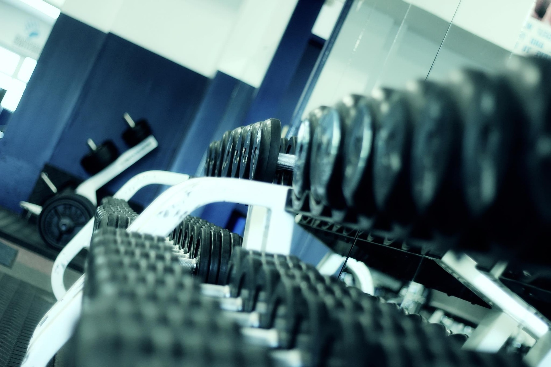 Fitness Hagenberg Geräte