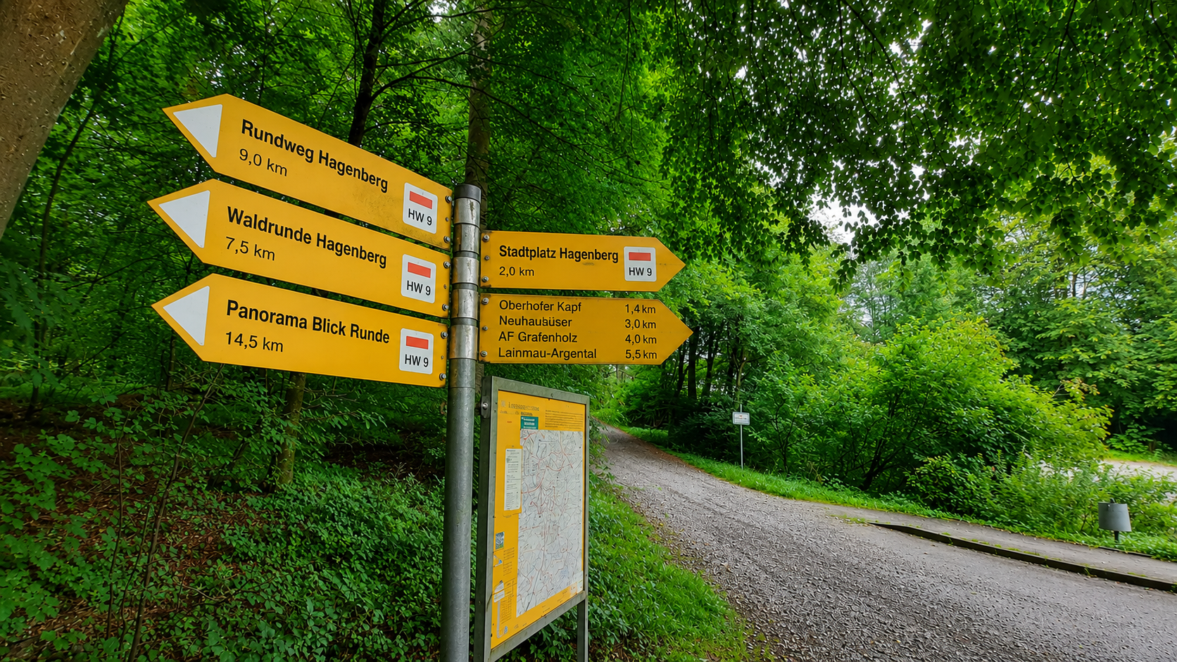 Weg Laufen Hagenberg